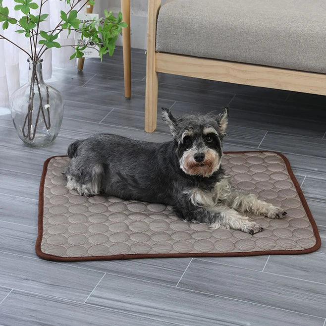 Self-Cooling Summer Ice Pad Non-Toxic Pet Ice Pad Waterproof Pet Summer Cool Mat